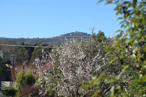 Mulberry Cottage B&B - Australia Accommodation 5