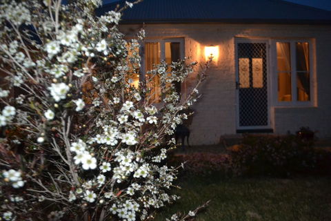 Mulberry Cottage B&B - Australia Accommodation 6
