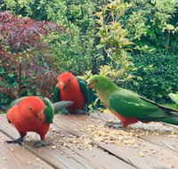 Crimson Villa - Australia Accommodation