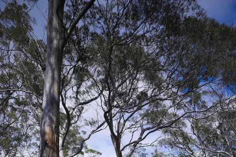 Rocky Hills Retreat - Australia Accommodation 7