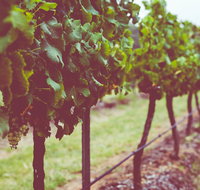 Hermitage Hideaway Homestead  Cottage - Australia Accommodation