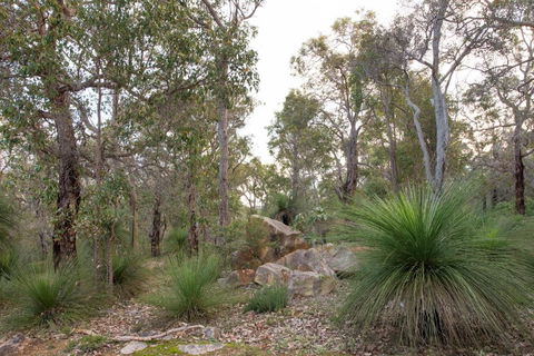 A Hidden Bush Delight - Australia Accommodation 6