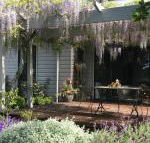Windrush BnB Comboyne Australia - Australia Accommodation
