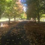 A Peaceful Cabin In The Country - Australia Accommodation 0