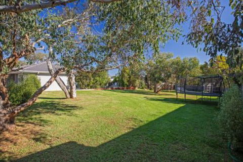 The Little Island Orchard - Australia Accommodation 5