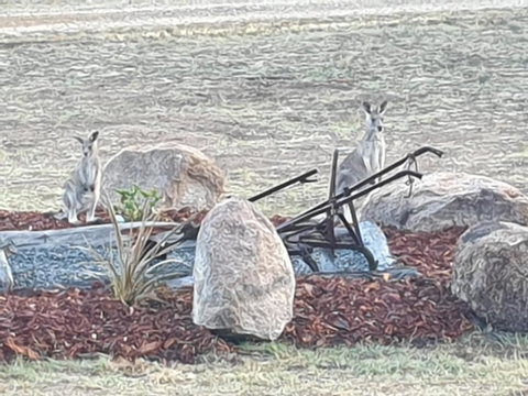 R & R On The Ravine - Australia Accommodation 5