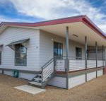 Desert Pea - Australia Accommodation