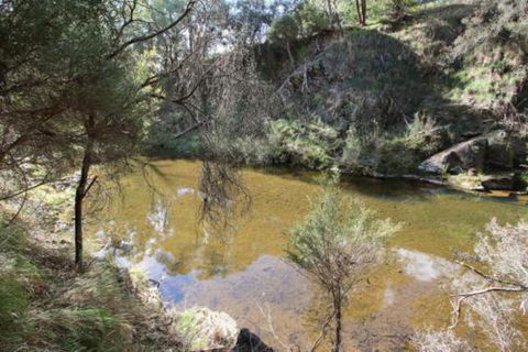 Alpine Streamside - Australia Accommodation 3