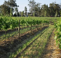 Renovated Cottage Aberdare Hunter Valley - Australia Accommodation
