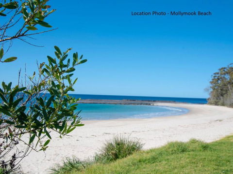 Tallwood Ave 77 Mollymook - Australia Accommodation 3