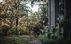 Tiny House 888 - thumb 5