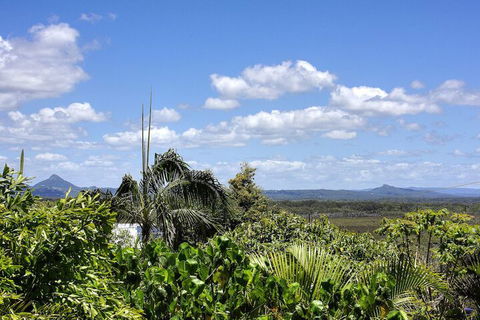 Piccolo Peregian - Pet Friendly- Peregian Beach, QLD - Australia Accommodation 7