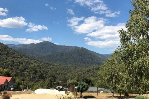 Alpine Stag Lodge Unit 2 - Australia Accommodation 7