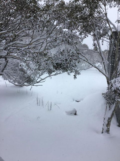 Winterhaven On Park Lane Sleeps 2 - Australia Accommodation 2