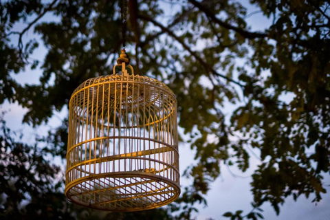 Annies Victorian Terrace Accommodation Fremantle - Australia Accommodation 1