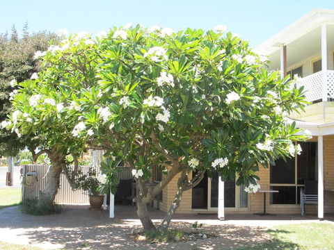 Kalbarri Riverfront Unit - Australia Accommodation 3