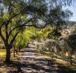 Capers Guesthouse Barn  Cottage - Australia Accommodation