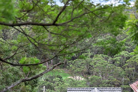 ALAN1 Leafy Tranquil Home - Australia Accommodation 3