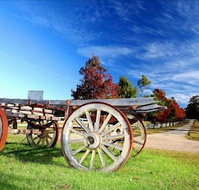 Oaks Ranch and Country Club - Australia Accommodation