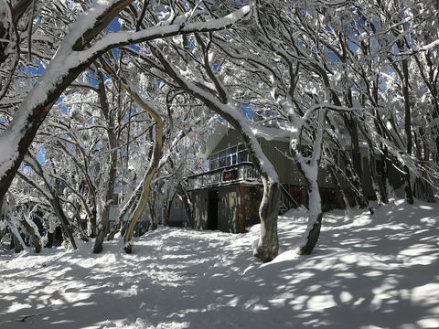 Amber Lodge Mt Buller - Hostel - Australia Accommodation 2