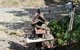Australian Home Away At Wonga Park Brushy Creek - thumb 0