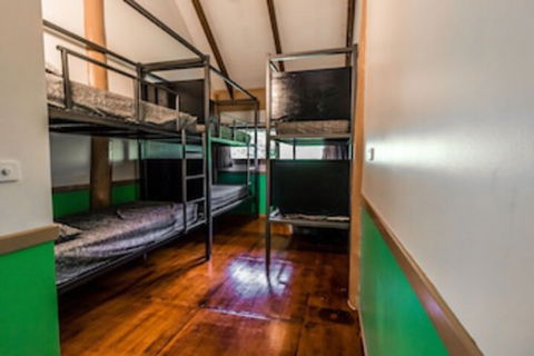 Jackaroo Treehouse Mission Beach - Australia Accommodation 0