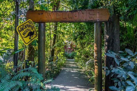 Jackaroo Treehouse Mission Beach - Australia Accommodation 1