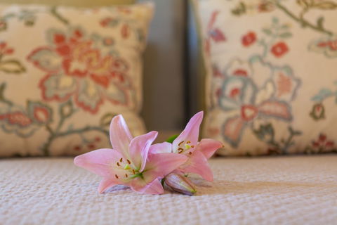 Stonewell Cottages & Vineyards - Australia Accommodation 2