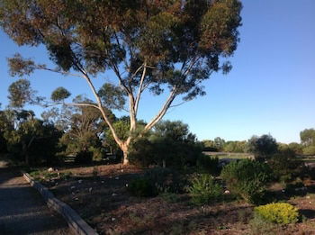 Murray Bridge Motor Inn - Australia Accommodation 1