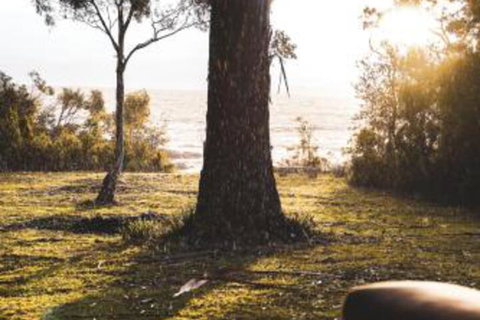 Seagrass On Sunset Bay - Australia Accommodation 1