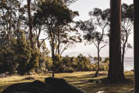 Seagrass On Sunset Bay - Australia Accommodation 2