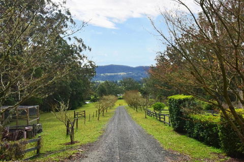 Maple Cottage - Australia Accommodation 6