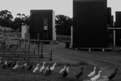 Barn Hives Yallingup - Australia Accommodation 1