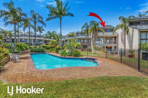 Amazing Waterfront Location Pool Beach Water Views Tropical Gardens - Australia Accommodation 1