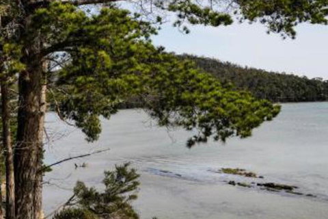 Rockpool Cottage - Australia Accommodation 4