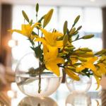 KUI Manhattan Apartments - Australia Accommodation 0