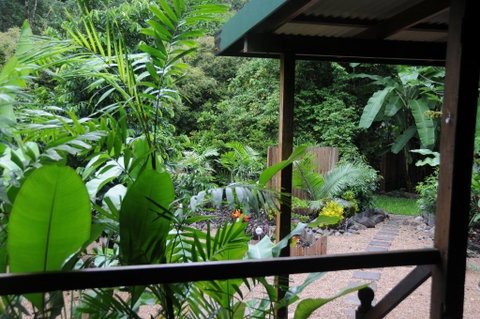 Wildwood - Australia Accommodation 3