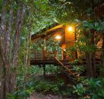 Wildwood - Australia Accommodation