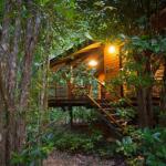 Wildwood - Australia Accommodation 0