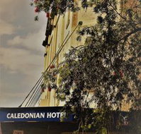 Caledonian Hotel - Australia Accommodation