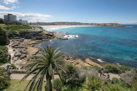 Ultimate Bondi Escape - Australia Accommodation 4