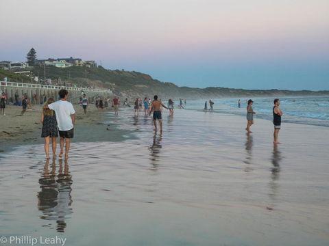 Alices Palace 2 Minute Walk To Lifeguard Patrolled Surf Beach - Australia Accommodation 4
