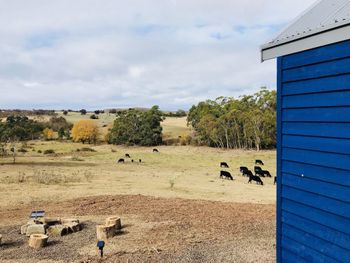 In2thewild Walden - Australia Accommodation 1