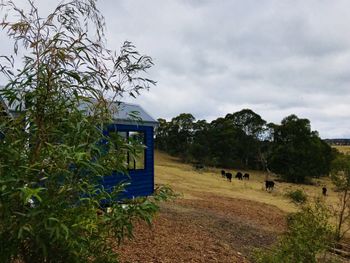 In2thewild Walden - Australia Accommodation 4