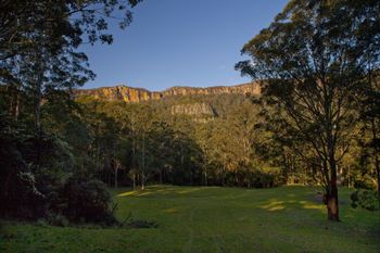 The Cedars Cottages - Australia Accommodation 3