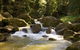 The Cedars Cottages - thumb 2
