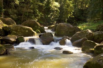 The Cedars Cottages - Australia Accommodation 2