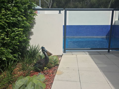 Manly Marina Cove Motel Brisbane - Australia Accommodation 3