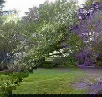 Petersons Armidale Winery  Guesthouse - Australia Accommodation
