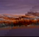 Wombat Hills Cottages - Australia Accommodation